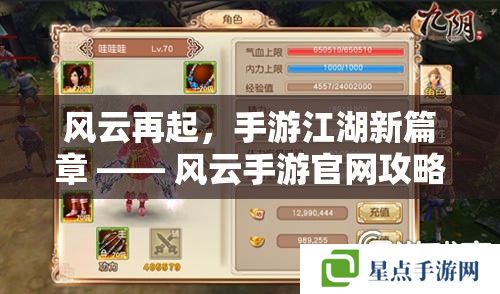 風(fēng)云再起，手游江湖新篇章 —— 風(fēng)云手游官網(wǎng)攻略指南