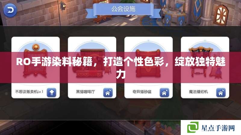 RO手游染料秘籍，打造個性色彩，綻放獨(dú)特魅力