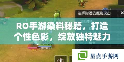 RO手游染料秘籍，打造個性色彩，綻放獨(dú)特魅力