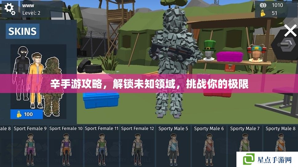 辛手游攻略，解鎖未知領(lǐng)域，挑戰(zhàn)你的極限