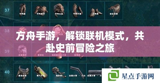 方舟手游，解鎖聯(lián)機(jī)模式，共赴史前冒險(xiǎn)之旅