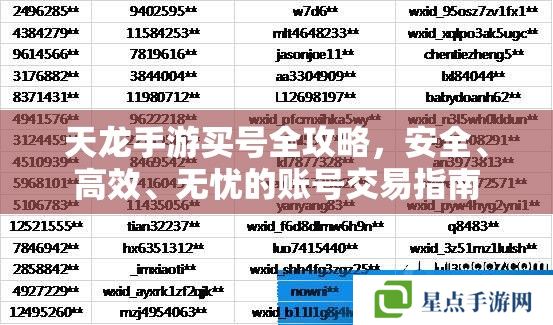 天龍手游買號全攻略，安全、高效、無憂的賬號交易指南