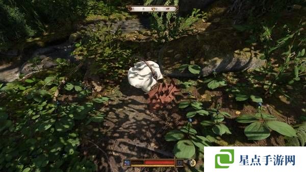 天國拯救2顛茄哪里多 顛茄和四葉重樓草藥采集點分享圖片2