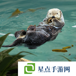 野獸領(lǐng)主新世界異獸圖鑒