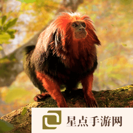 野獸領(lǐng)主新世界異獸圖鑒