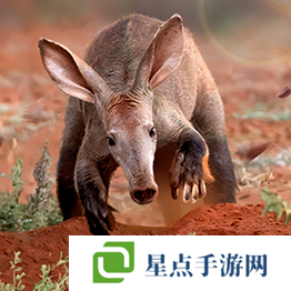 野獸領(lǐng)主新世界異獸圖鑒