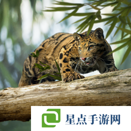 野獸領(lǐng)主新世界異獸圖鑒