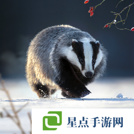 野獸領(lǐng)主新世界異獸圖鑒