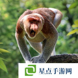 野獸領(lǐng)主新世界異獸圖鑒