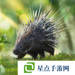 野獸領(lǐng)主新世界異獸圖鑒