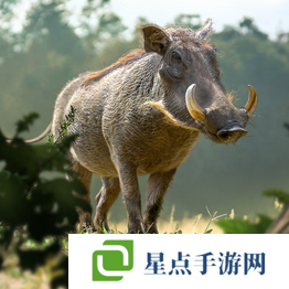 野獸領(lǐng)主新世界異獸圖鑒